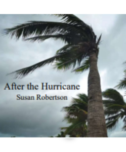 Susan Roberts on Author| A Decade in book writing.